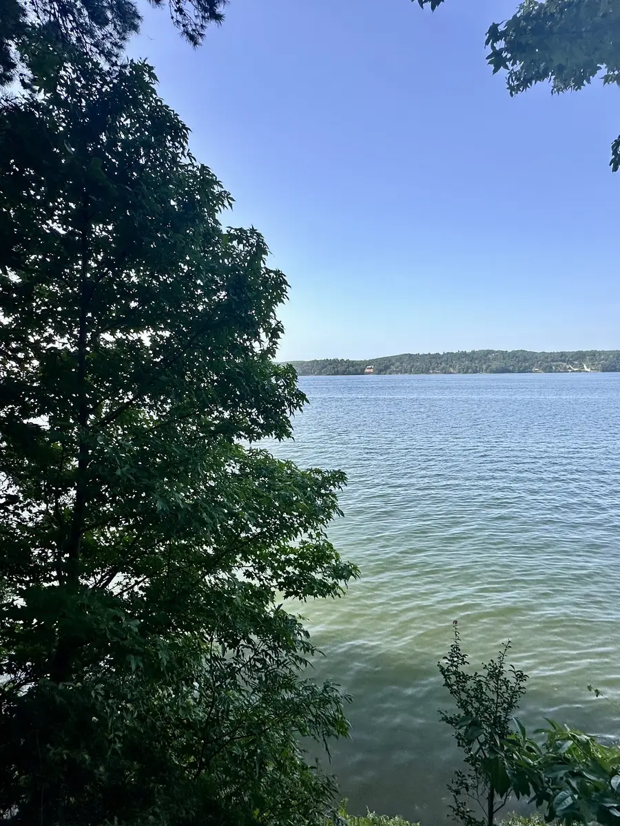 0 Paradise Drive, Waterloo, AL 35677 - #2