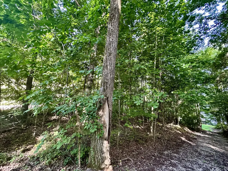 0 Paradise Drive, Waterloo, AL 35677 - #3