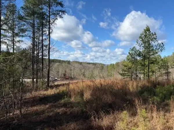 0 Birds Eye Way, Guild, TN 37340