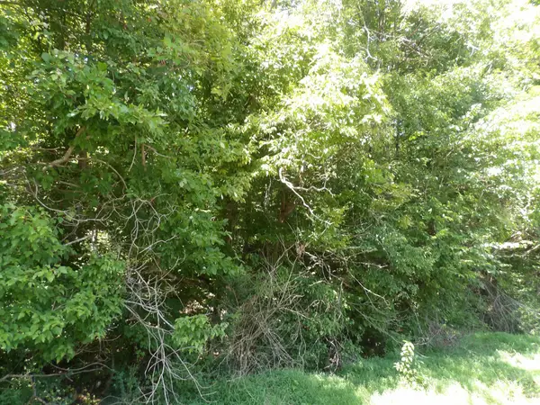 0 Highway 13 South, Waverly, TN 37185