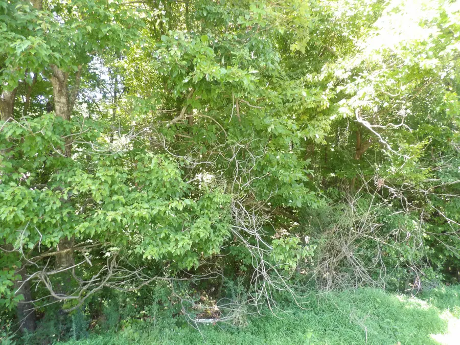 0 Highway 13 South, Waverly, TN 37185 - #3