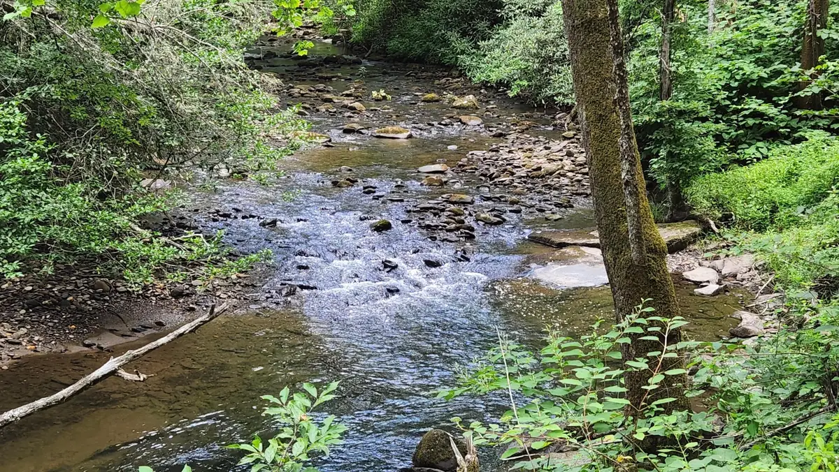 0 Tumbling Creek Road, Copperhill, TN 37317 - #1