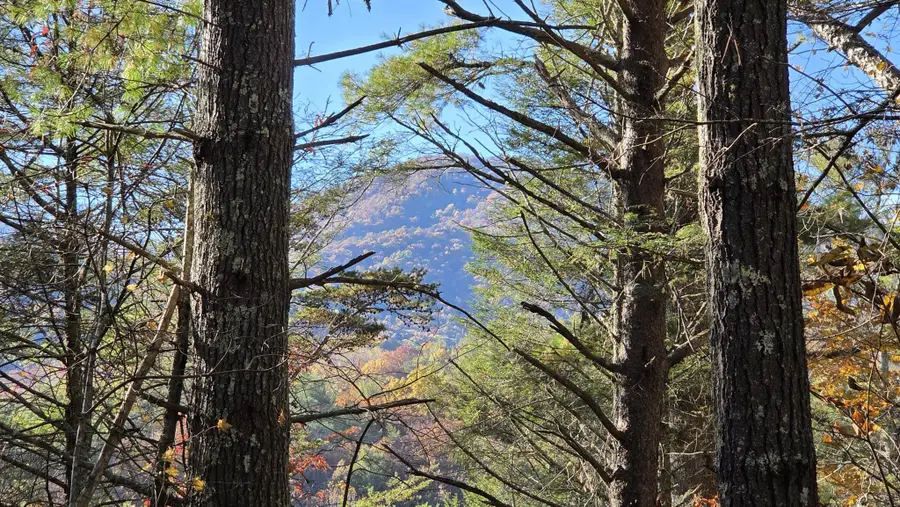 0 Tumbling Creek Road, Copperhill, TN 37317 - #2