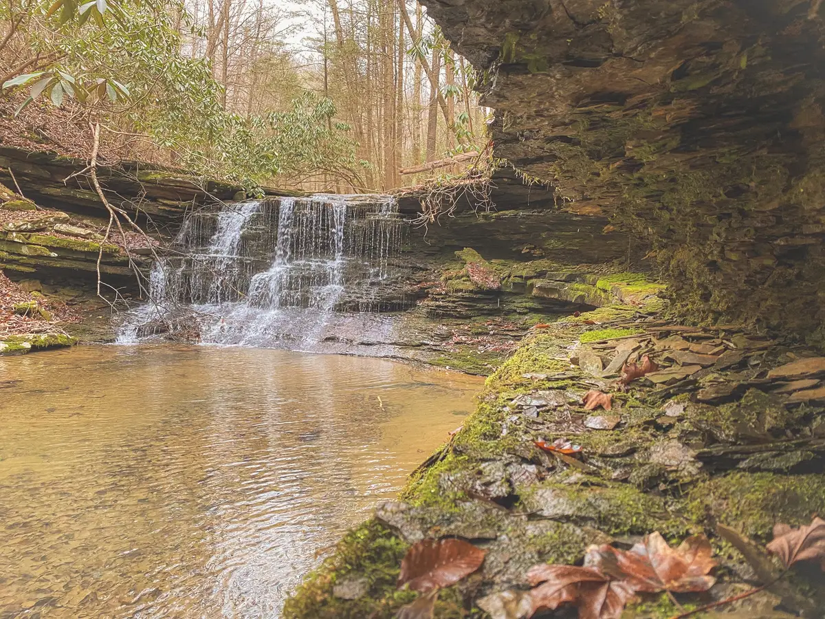 0 Cherokee Trail, Wartburg, TN 37887 - #1