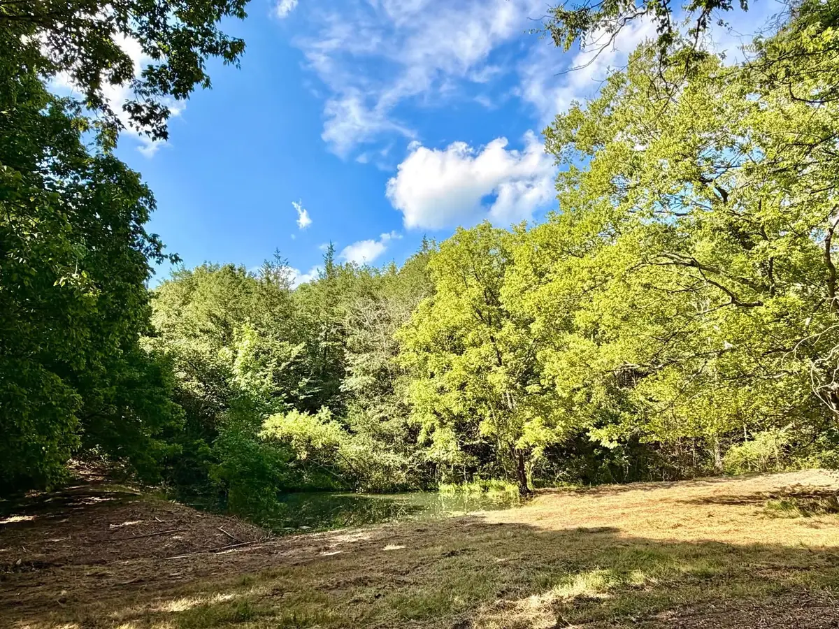 877 Hanna Branch Rd, Prospect, TN 38477 - #1