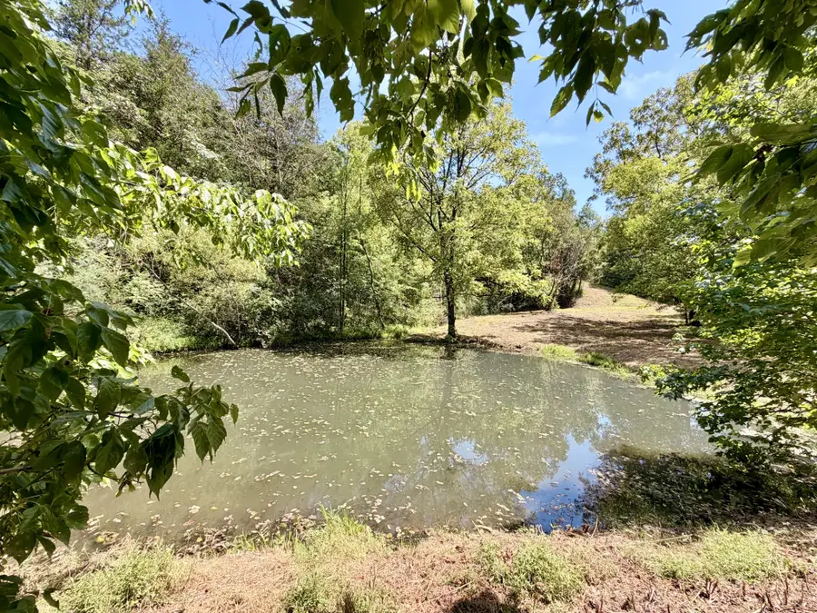877 Hanna Branch Rd, Prospect, TN 38477 - #3