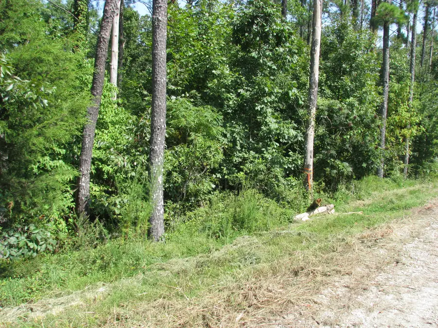 1920 Richland Harbor Rd, Waverly, TN 37185 - #3
