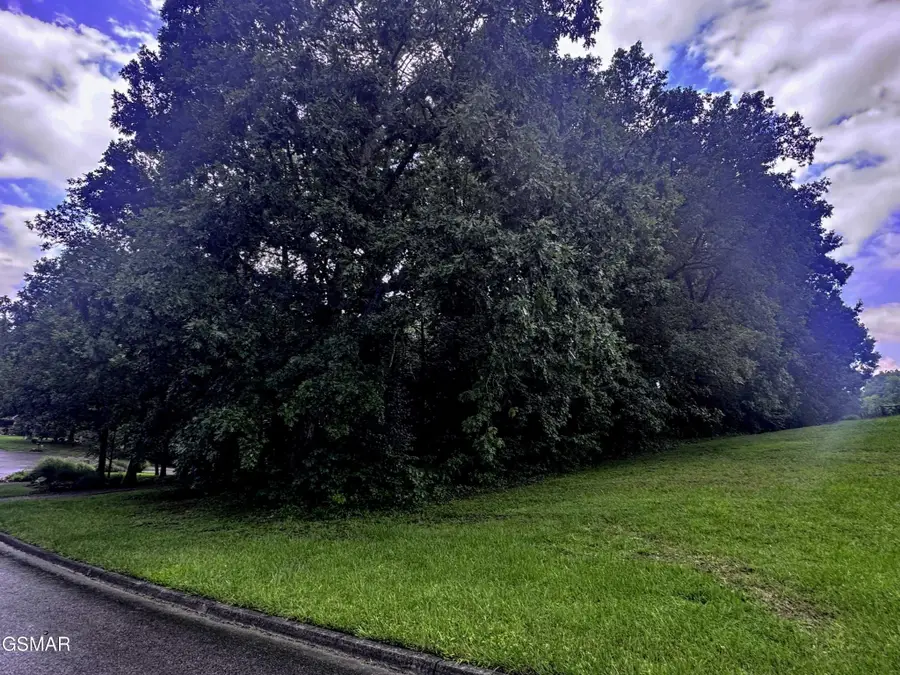 14 Boxwood Lane, Sevierville, TN 37862 - #3