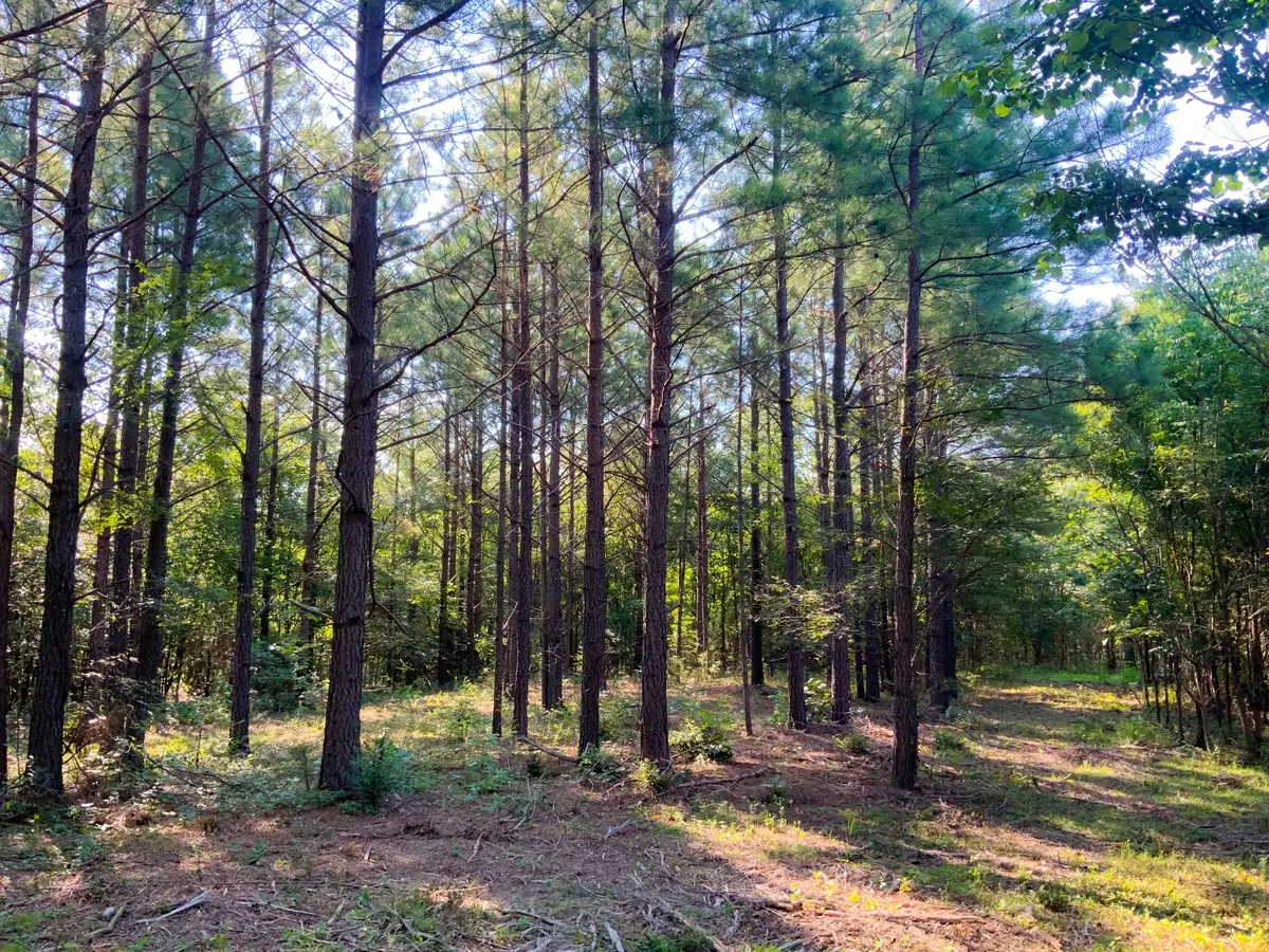 0 Hwy 232, Dover, TN 37058 - #1