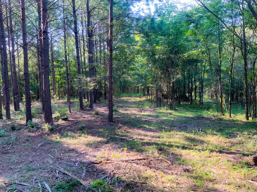 0 Hwy 232, Dover, TN 37058 - #2