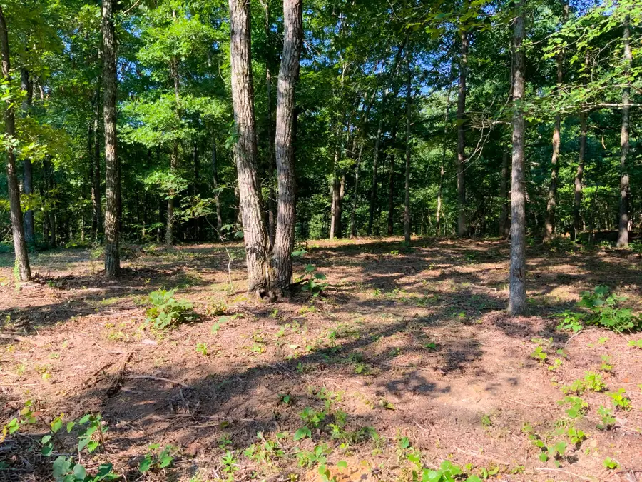 0 Hwy 232, Dover, TN 37058 - #3