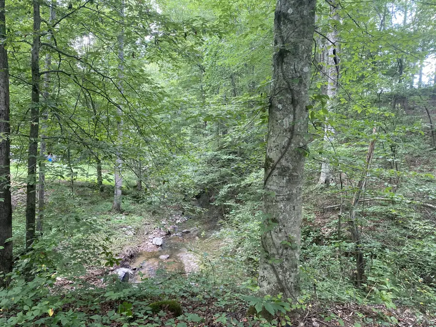 326 Sherman Rd, Charlotte, TN 37036 - #3