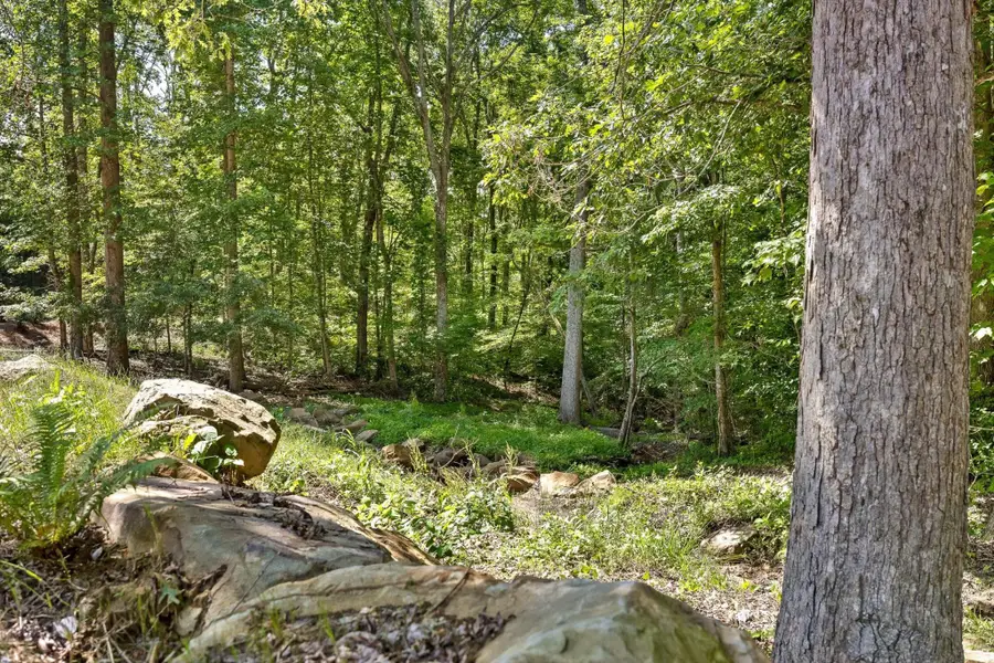 0 Maple Leaf Trail, Lookout Mountain, GA 30750 - #2