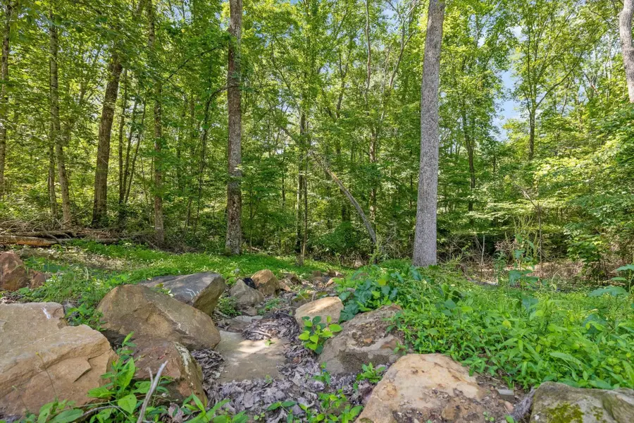 0 Maple Leaf Trail, Lookout Mountain, GA 30750 - #3