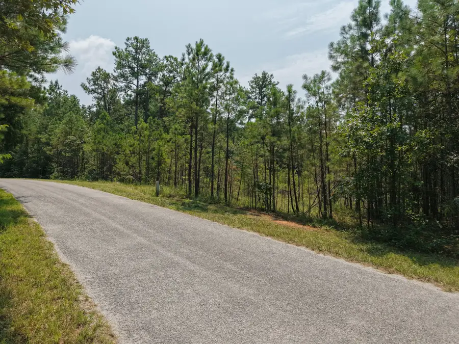 0 Allen Mill Bridge Rd, Camden, TN 38320 - #3