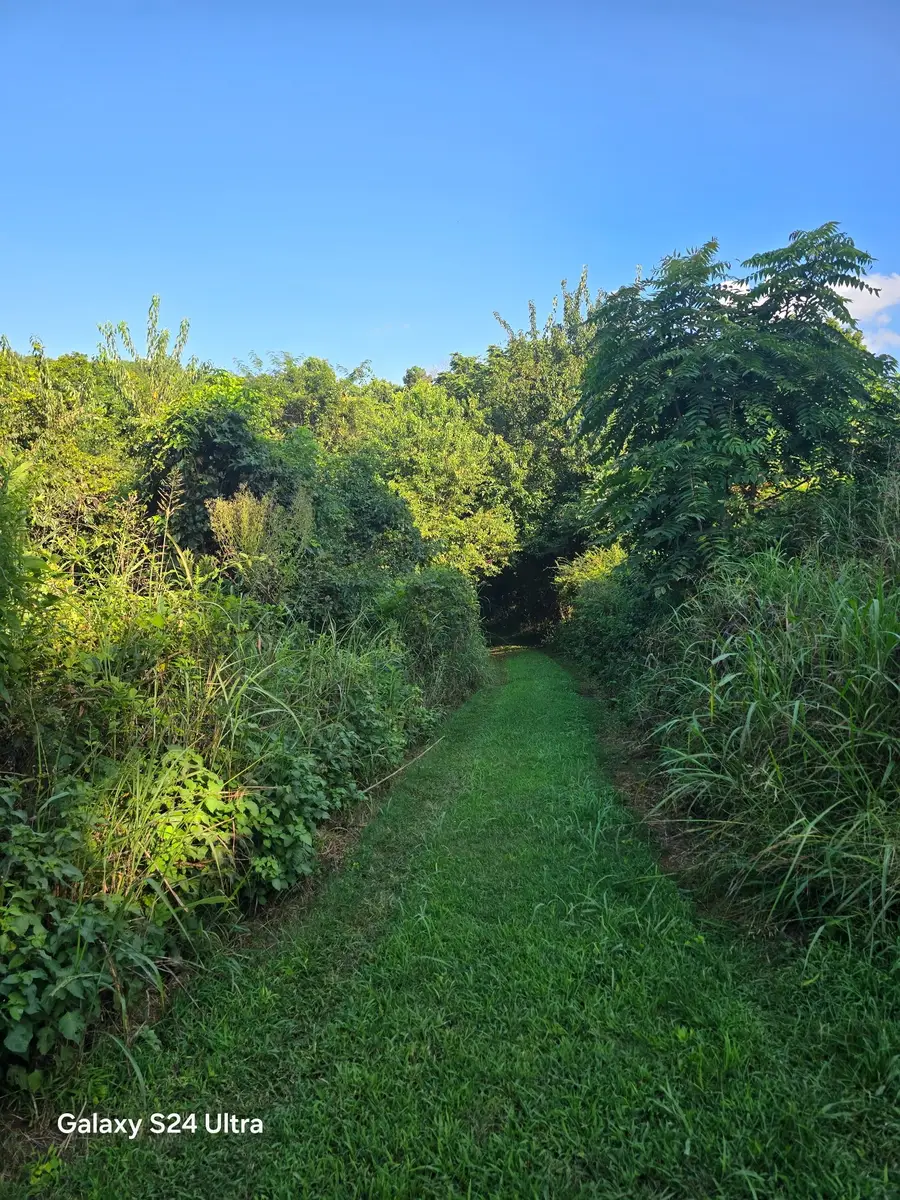 1680 Ragsdale Ln, Pulaski, TN 38478 - #3