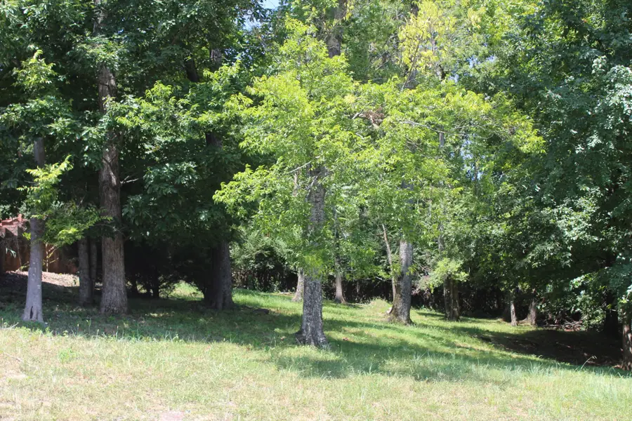 0 Spy Glass Way Lot 59, Hendersonville, TN 37075 - #3