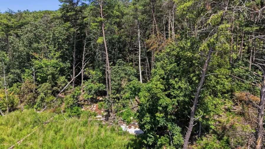 8381 Big Sky Lane, Signal Mountain, TN 37377 - #3