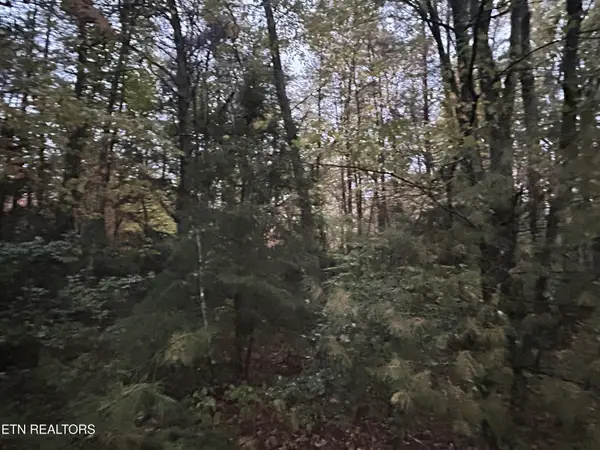 0 Wilder Rd, Clarkrange, TN 38553