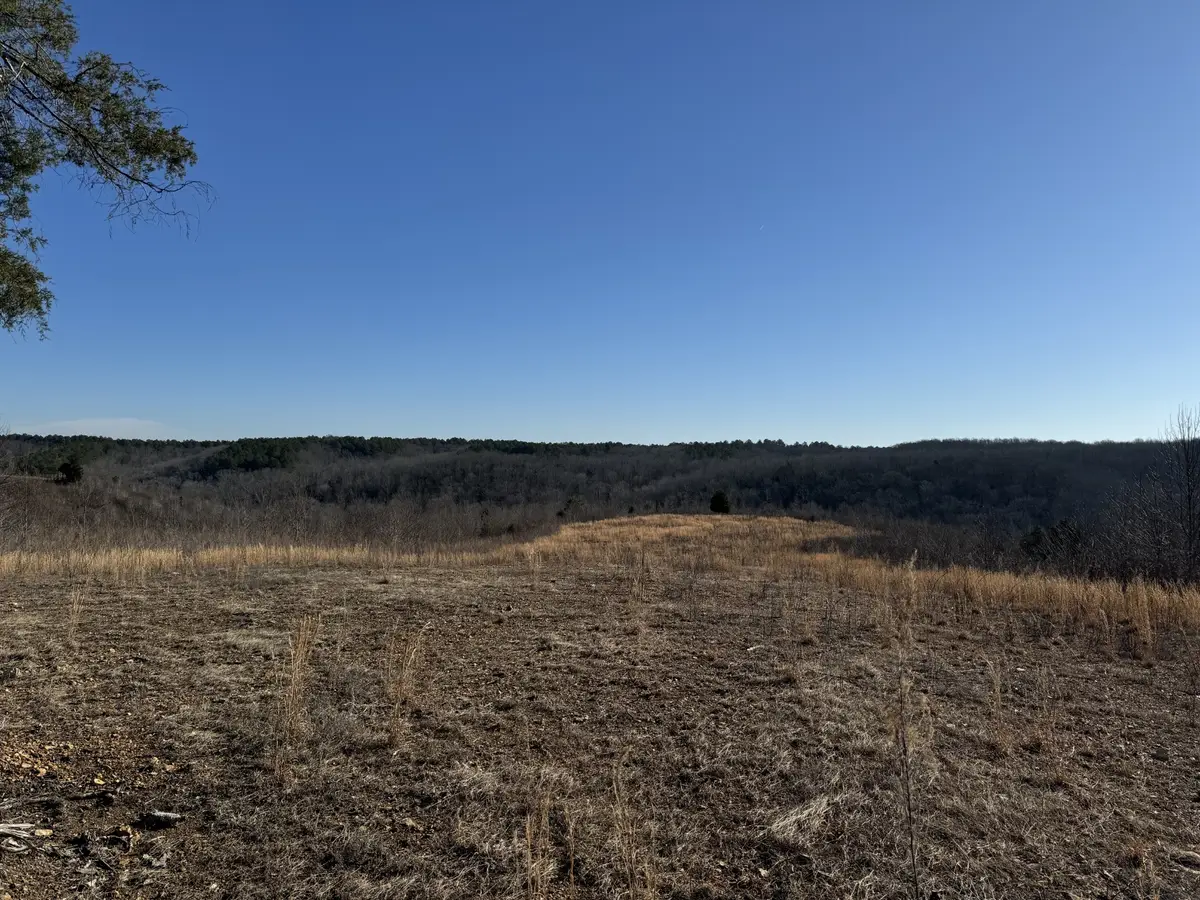 365 Twin Pines Overlook, Lobelville, TN 37097 - #1