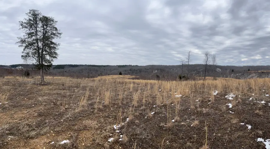 365 Twin Pines Overlook, Lobelville, TN 37097 - #2