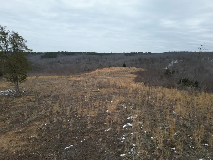 365 Twin Pines Overlook, Lobelville, TN 37097 - #3