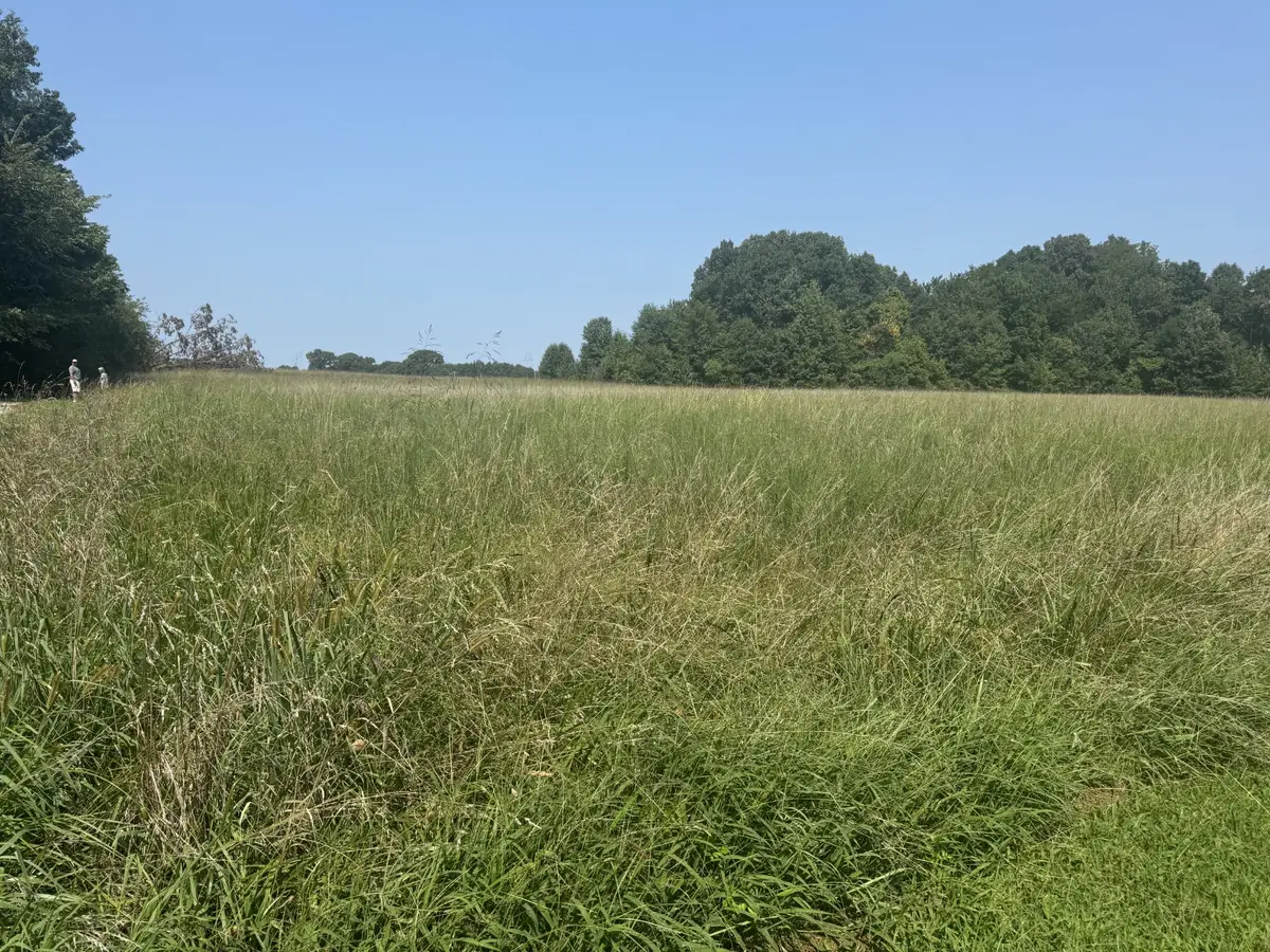 0 Bobbitt Rd, Medina, TN 38355 - #1