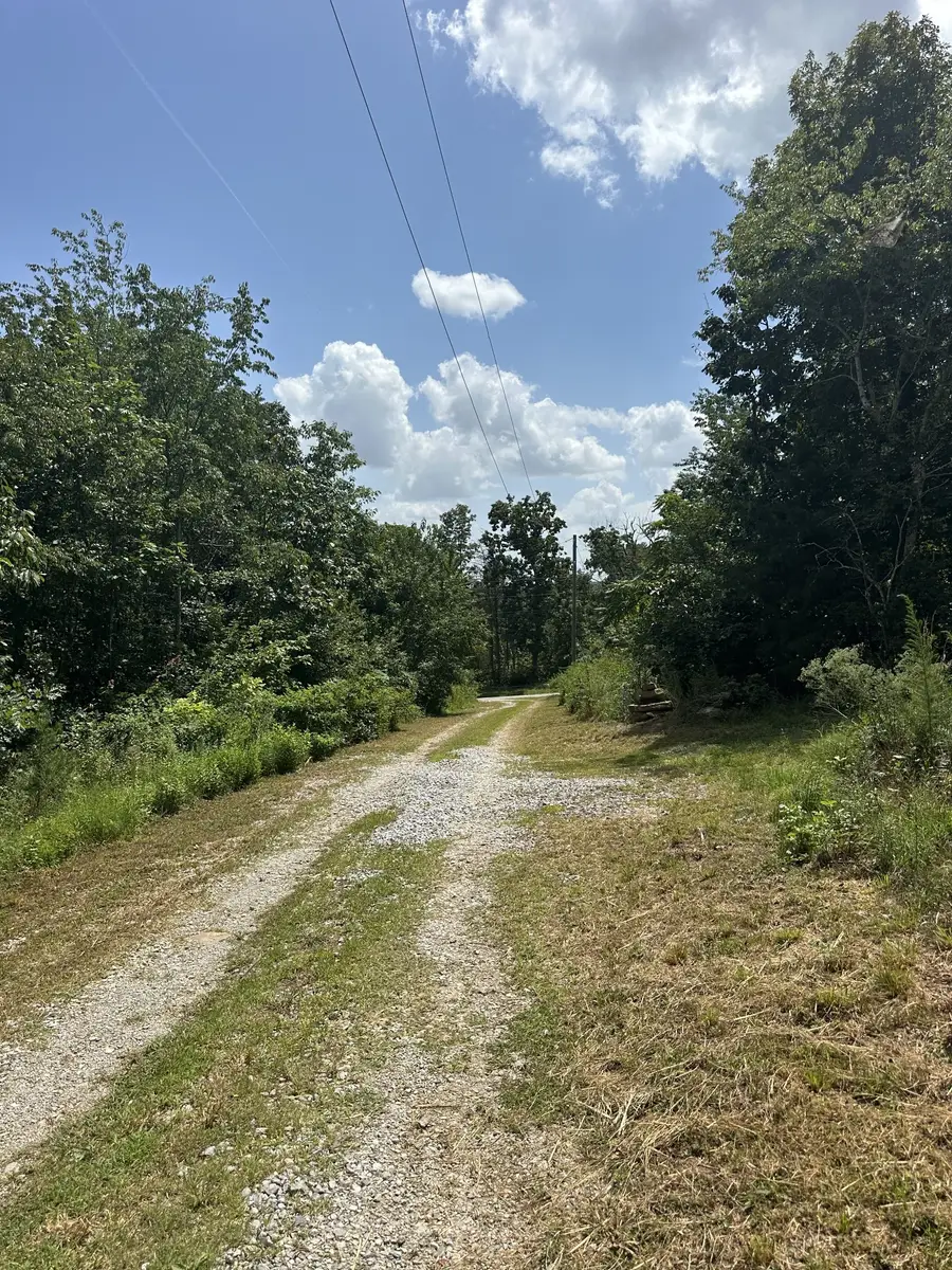 258 Jack Plank Rd, Spring City, TN 37381 - #3