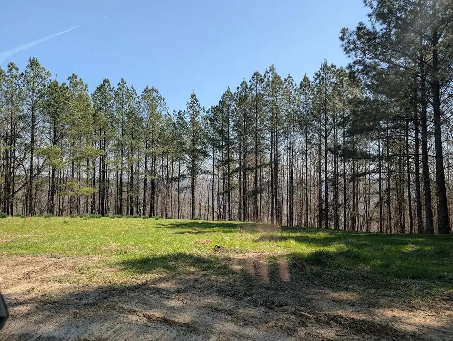 2241 Riverbend Rd, Guild, TN 37340 - #3