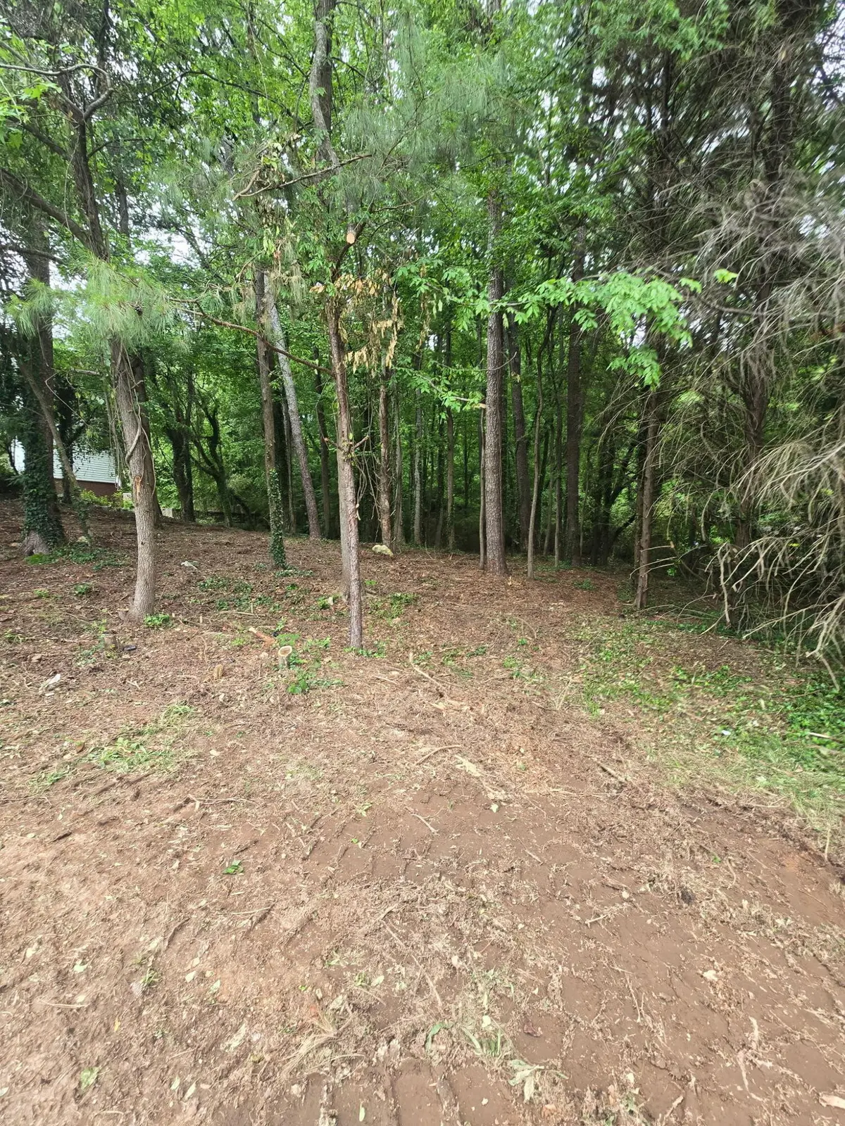 35 Ryman Ridge Road, Dalton, GA 30720 - #1