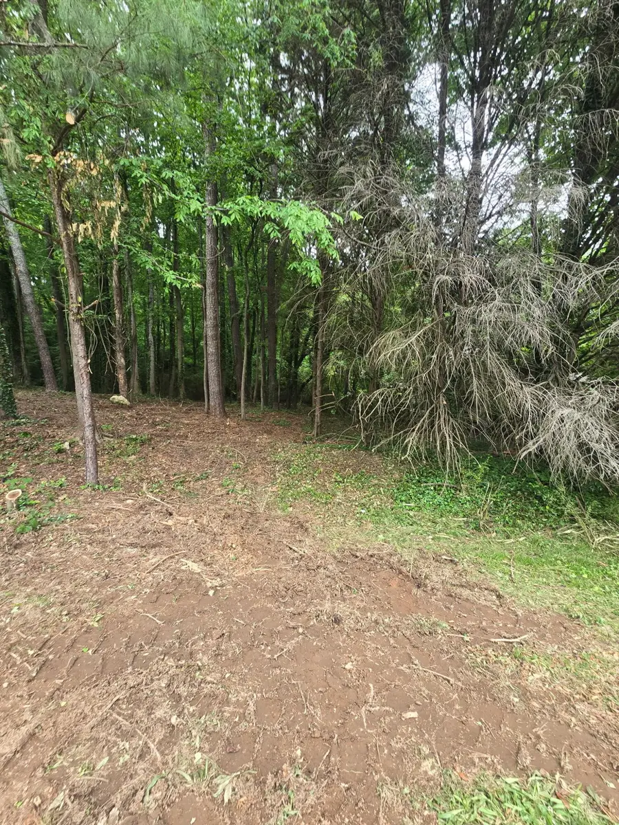 35 Ryman Ridge Road, Dalton, GA 30720 - #3