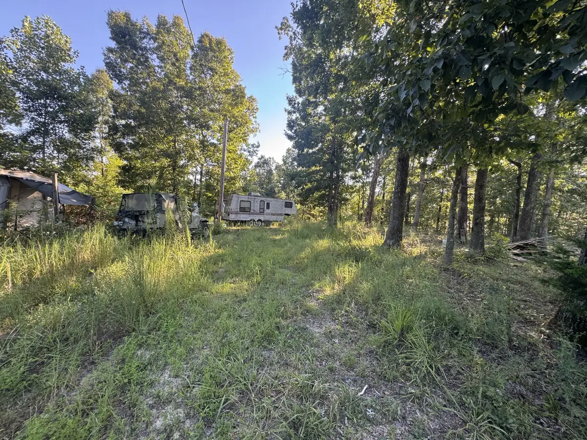 175 Fern Springs Rd, Hohenwald, TN 38462 - #1