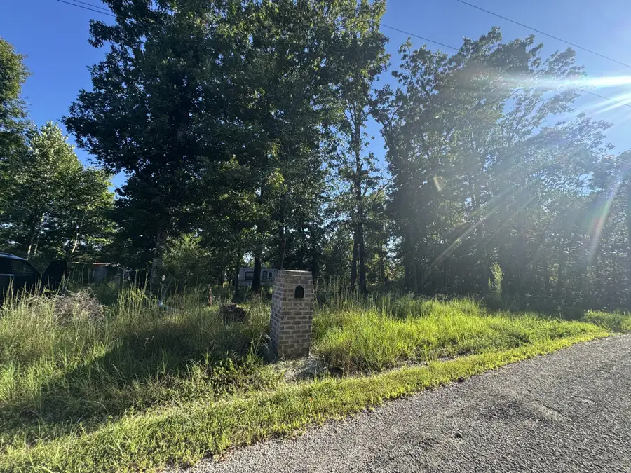 175 Fern Springs Rd, Hohenwald, TN 38462 - #3