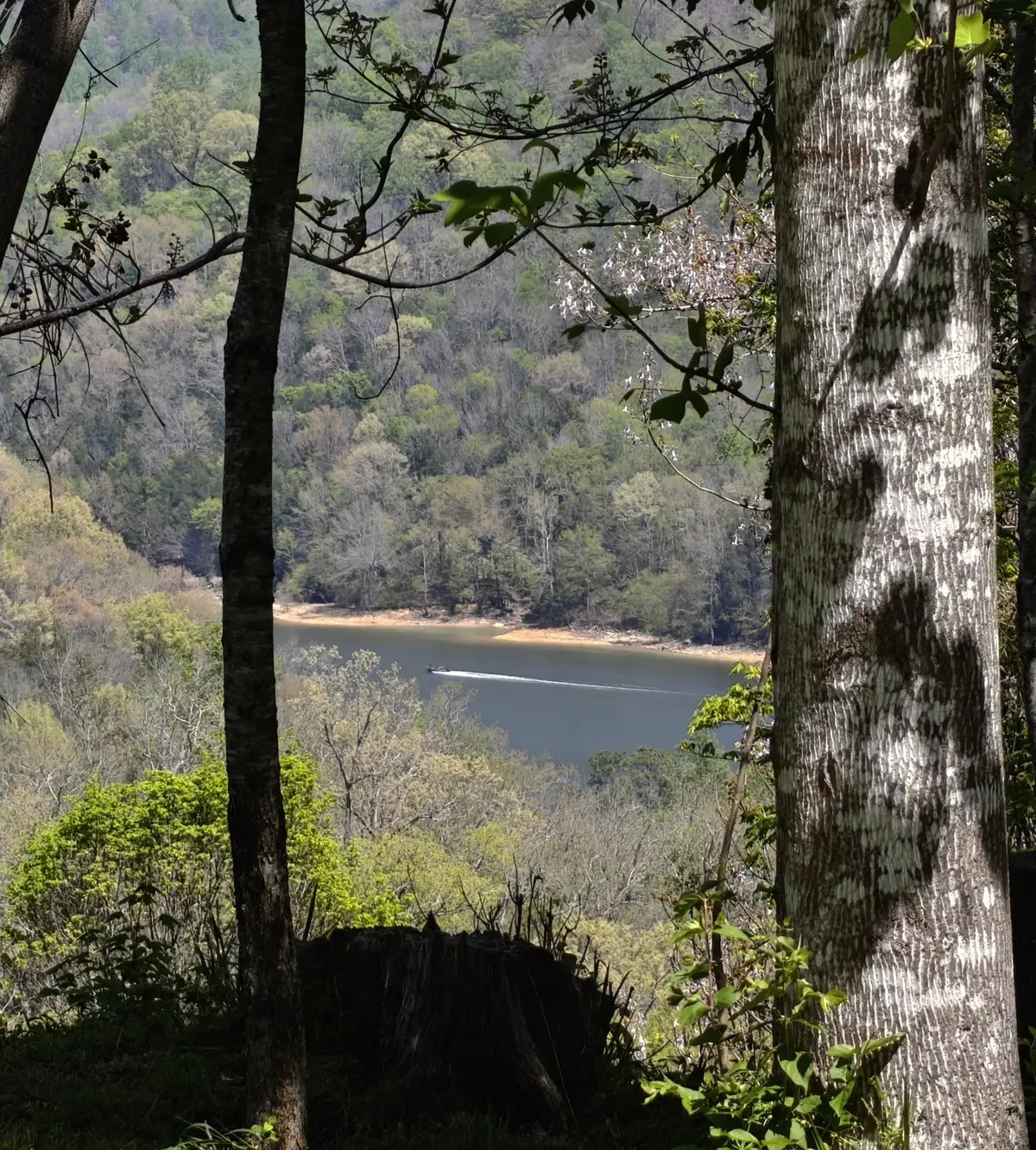 0 Vl Wilson, Smithville, TN 37166 - #1