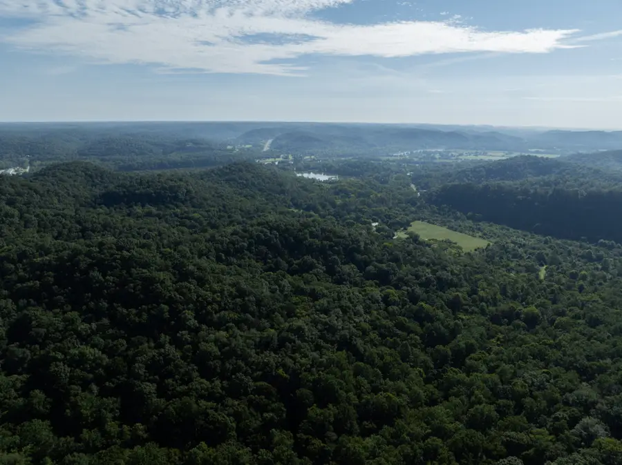 1100 Pond Creek Rd, Ashland City, TN 37015 - #3