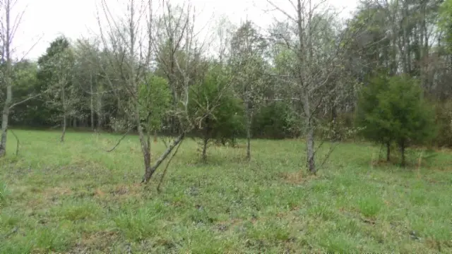 0 Denton Rd, Moss, TN 38575 - #3