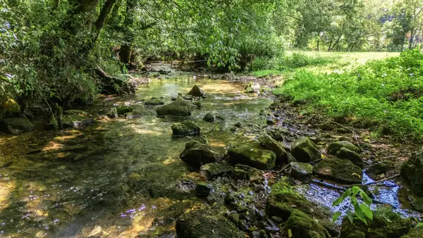 2203 Stones River Rd, Woodbury, TN 37190