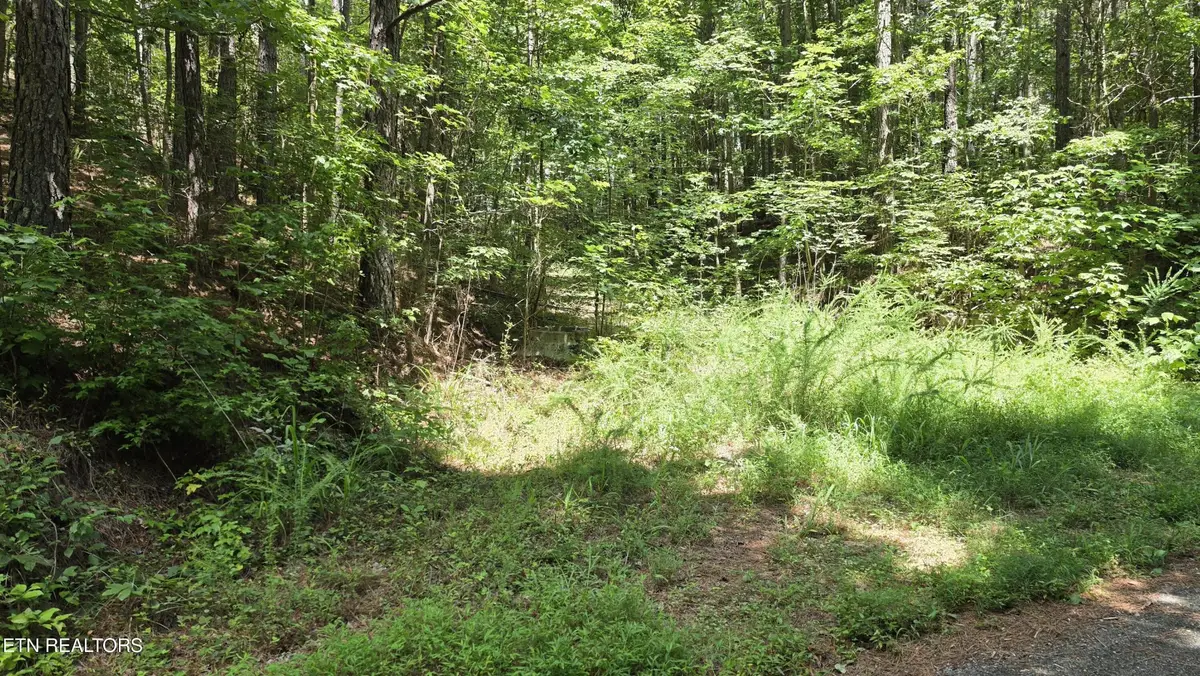 0 County Rd, Athens, TN 37303 - #1