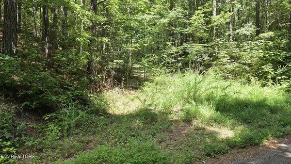 0 County Rd, Athens, TN 37303