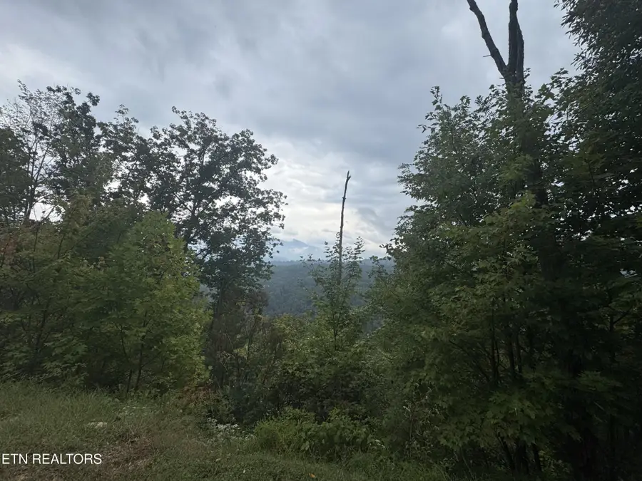 0 Enclave Park Way, Sevierville, TN 37862 - #3