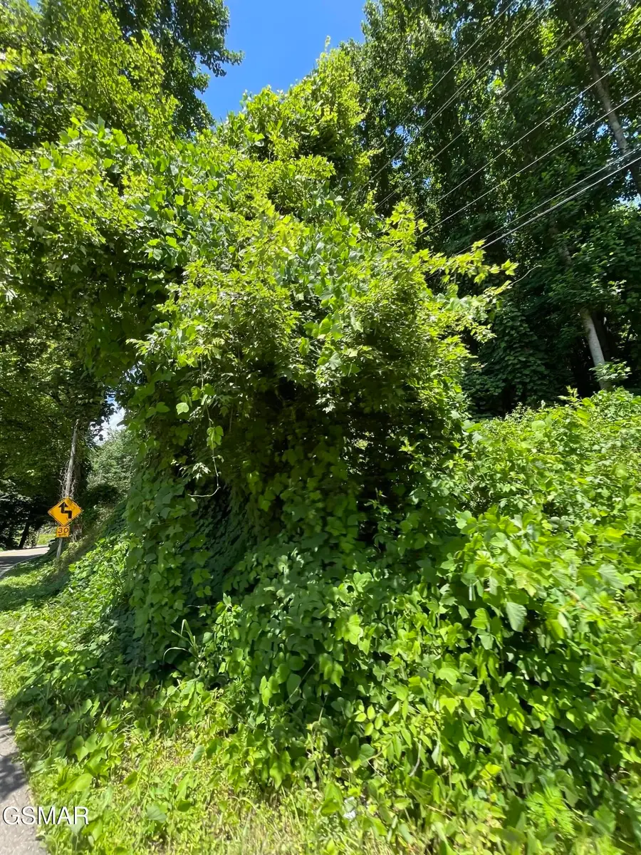 1 Pittman Center Road, Sevierville, TN 37876 - #2