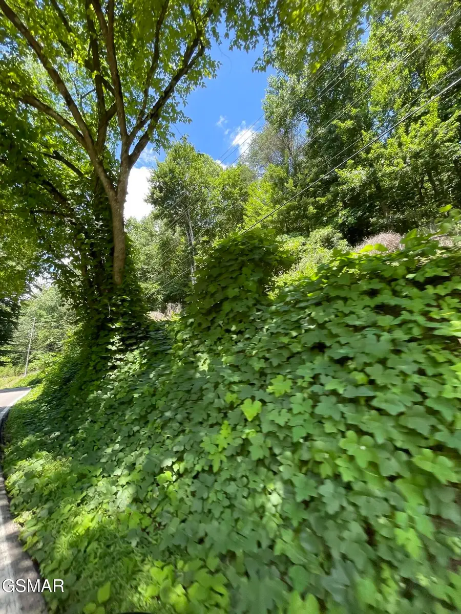 1 Pittman Center Road, Sevierville, TN 37876 - #3