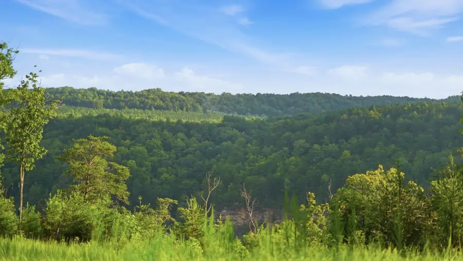 0 Worley Road, Soddy Daisy, TN 37379 - #2