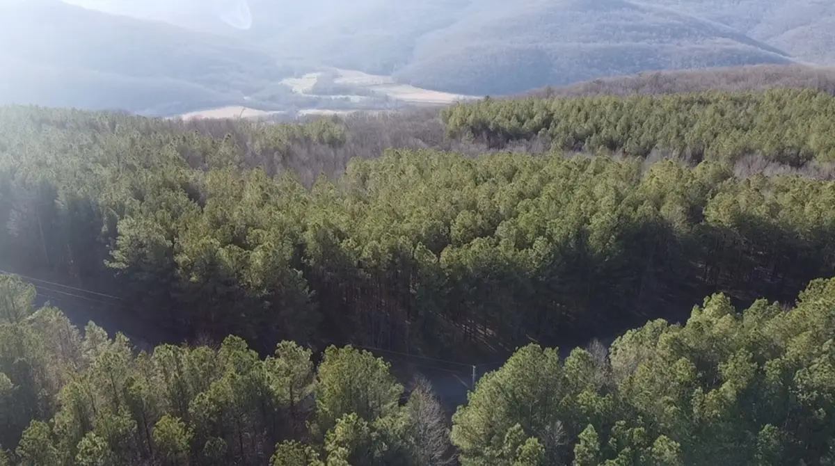 0 Hillis Cemetary Rd, Spencer, TN 38585 - #1