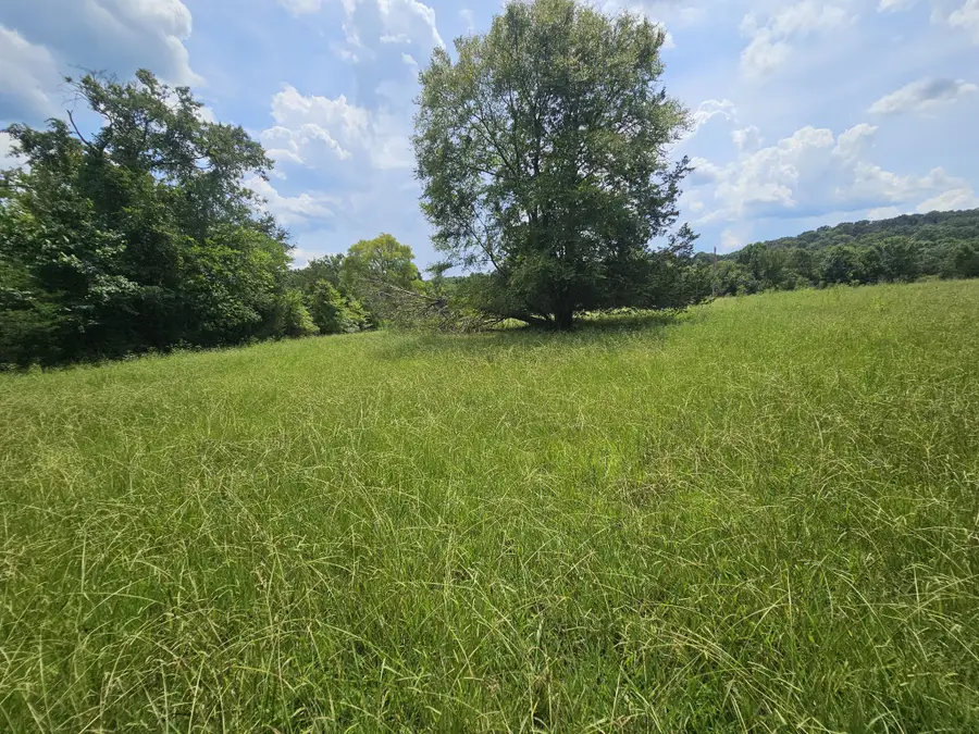 0 Whitfield Hollow Road, Readyville, TN 37149 - #2