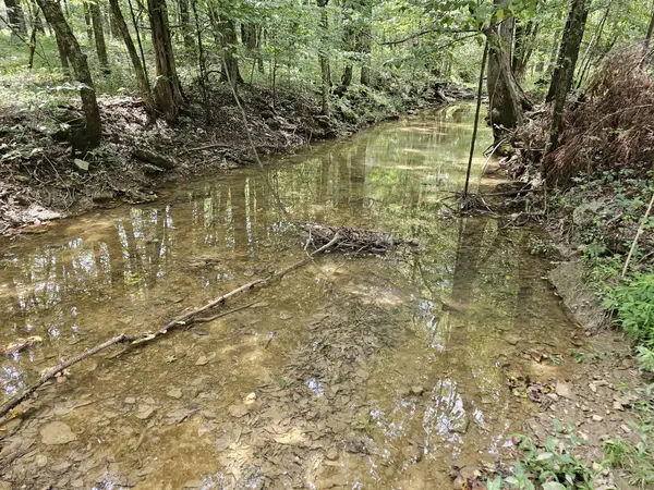0 Whitfield Hollow Road, Readyville, TN 37149
