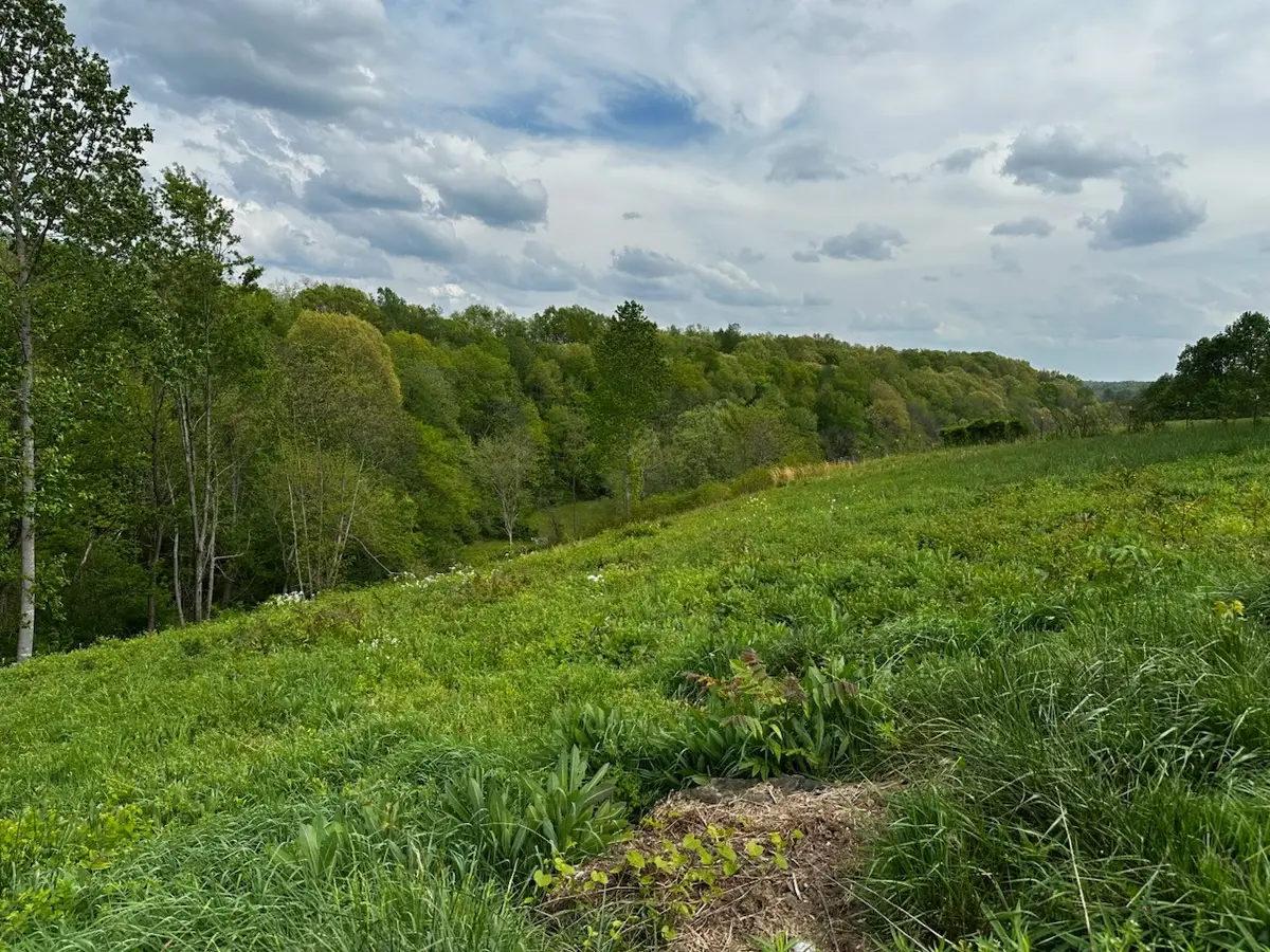 188 Martin Ln, Normandy, TN 37360 - #1