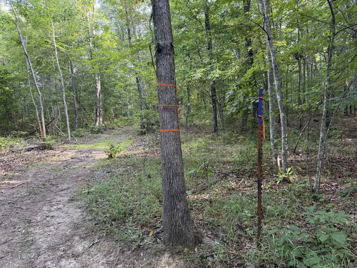 2603 Northcutts Cove Road, Beersheba Springs, TN 37305 - #1