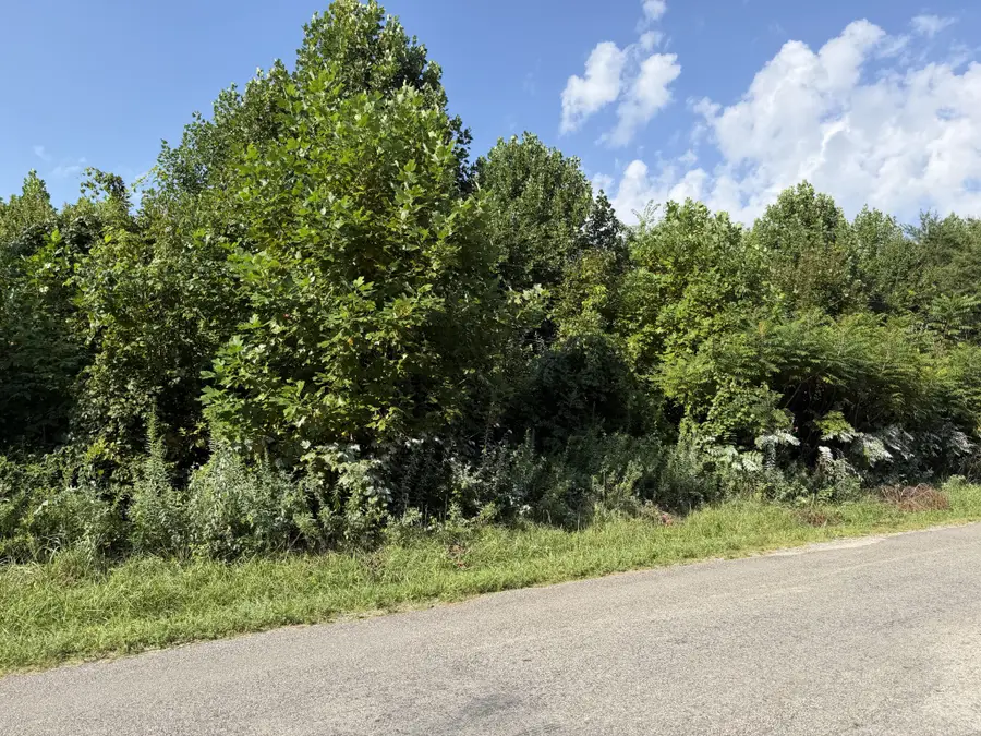 2603 Northcutts Cove Road, Beersheba Springs, TN 37305 - #2