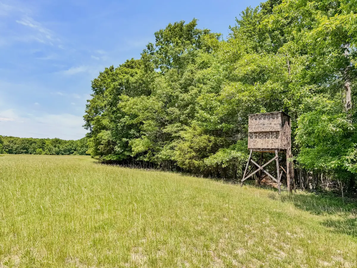 0 Johnson Rd, Lutts, TN 38471 - #1